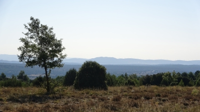 San Martin de Boniches