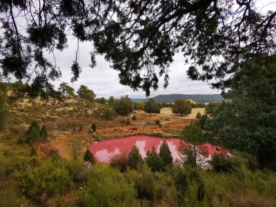 Lagunas de Cañada__