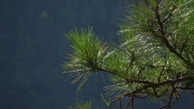 Entre Herreria y Carrascosa