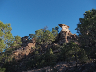 Corbeteras. Pajaroncillo