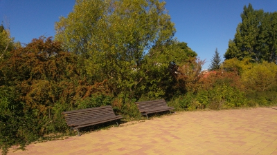 Vega del Codorno__ Vega del Codorno__