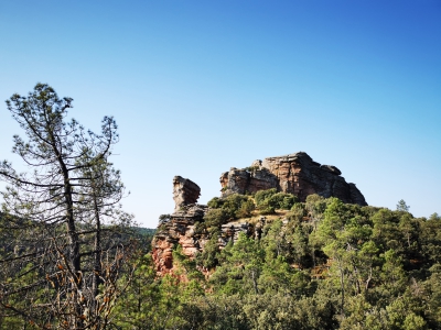 Corbeteras. Pajaroncillo__