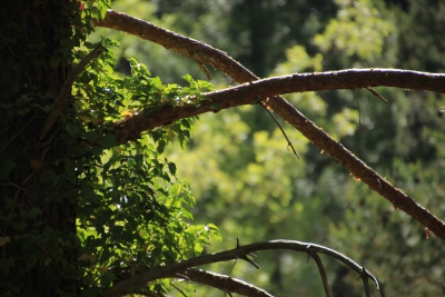 Valdemoro de la Sierra. Pozo Batanero_