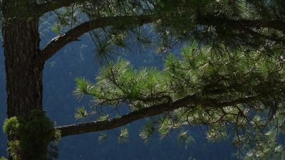 Entre Herreria y Carrascosa