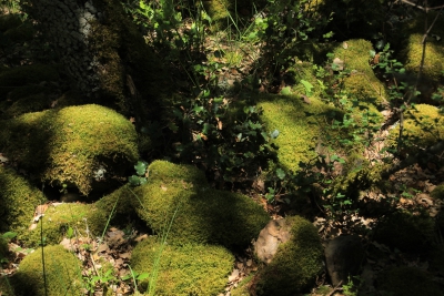 Valdemoro de la Sierra. Los Casares_