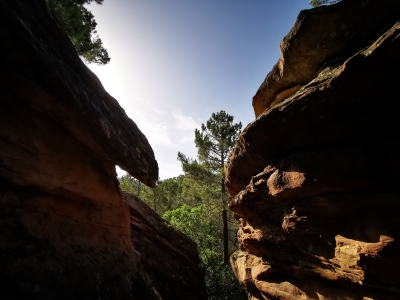 Villar del Humo. Selva Pascuala__ Villar del Humo. Selva Pascuala__