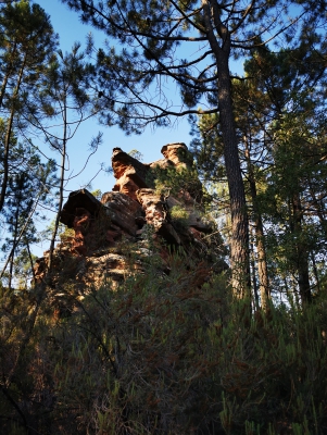 Corbeteras. Pajaroncillo__