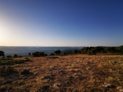El Pozuelo. Panoramica__