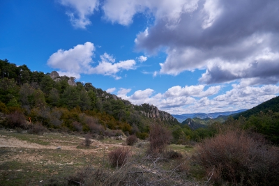 Arroyo Frio. Cuenca