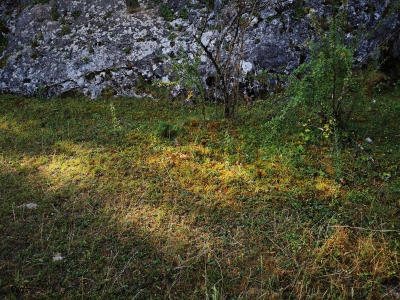 Callejones. Las Majadas__