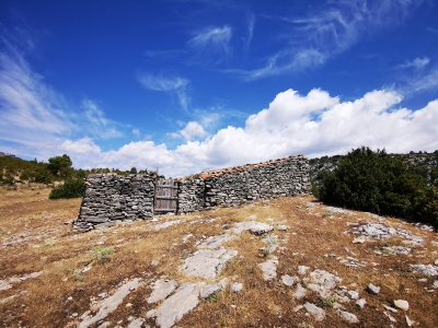 Zafrilla__ Zafrilla__