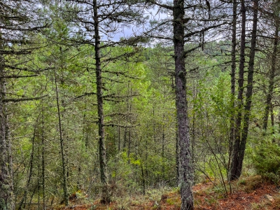 Las Torcas. Cuenca.- Las Torcas. Cuenca.-