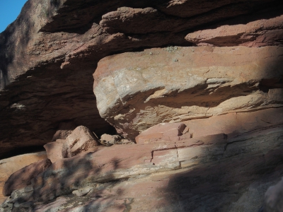 Corbeteras. Pajaroncillo