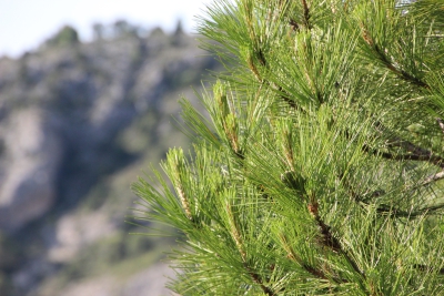 Ruta Turistica. Cuenca_