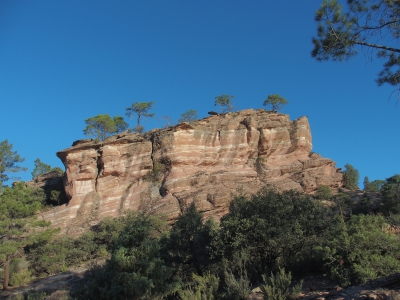 Corbeteras. Pajaroncillo