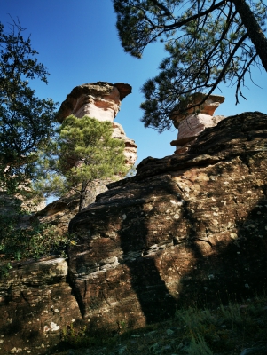 Miradores. Corbeteras. Pajaroncillo__