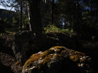 Callejones. Las Majadas__