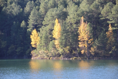 Embalse de Chincha. Puente de Vadillos.
