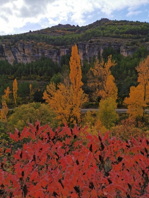 Otoño. Cuenca__