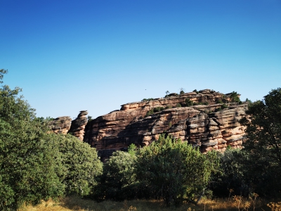 Miradores. Corbeteras. Pajaroncillo__