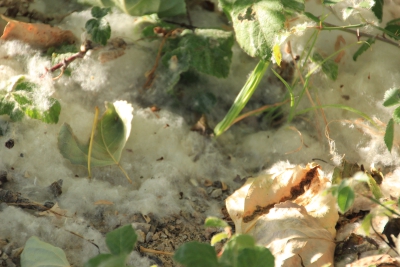 Ruta Turistica. Cuenca_