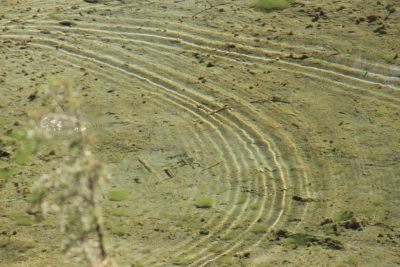 Nacimiento del Cuervo. Cuenca_