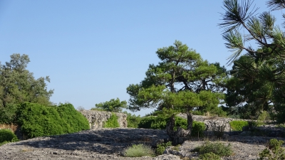 Callejones. Las Majadas