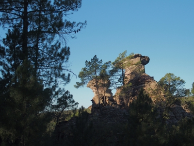 Corbeteras. Pajaroncillo