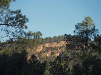 Corbeteras. Pajaroncillo