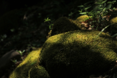 Valdemoro de la Sierra. Los Casares_