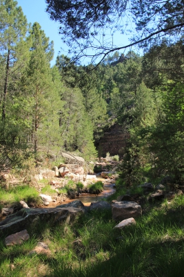 Pozo Batanero. Valdemoro de la Sierra_