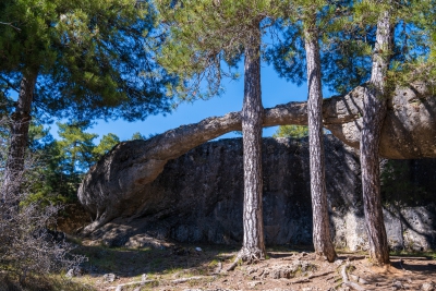 Ciudad Encantada. Cuenca.-