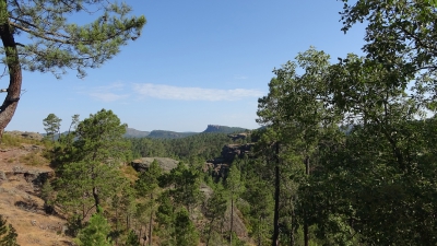 Ceñajo del Arte. Boniches