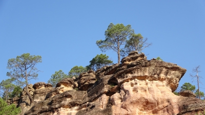 Miradores. Corbeteras. Pajaroncillo