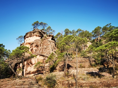 Corbeteras. Pajaroncillo__