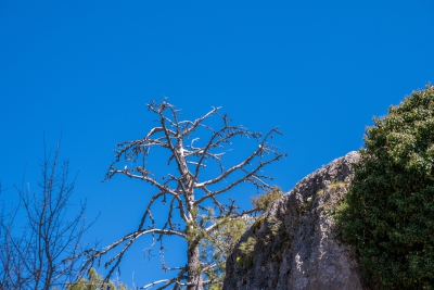 Ciudad Encantada. Cuenca.-