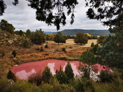 Lagunas de Cañada__