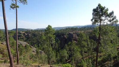Boniches. Ceñajo del Arte