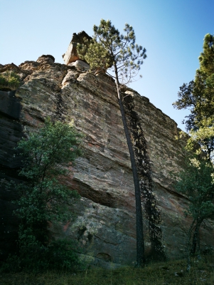 Corbeteras. Pajaroncillo__