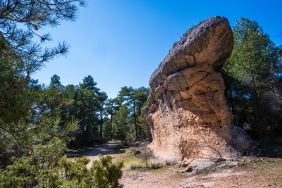 Ciudad Encantada. Cuenca.-