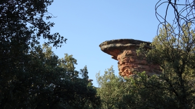 Miradores. Corbeteras. Pajaroncillo