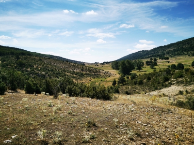 Zafrilla__ Zafrilla__