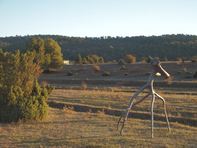 Buenache de la Sierra