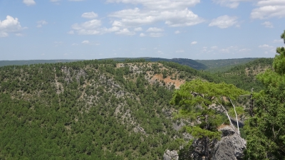 Mirador del Aguila. Carrascosa de la Sierra.