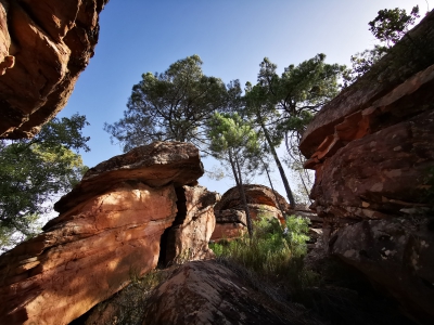 Villar del Humo. Selva Pascuala__ Villar del Humo. Selva Pascuala__