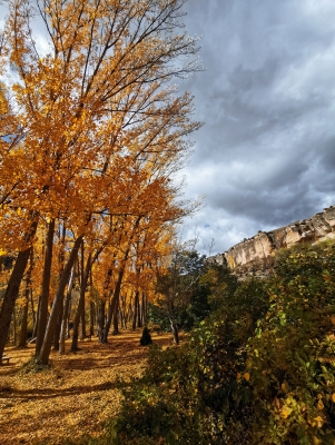 Otoño. Cuenca__