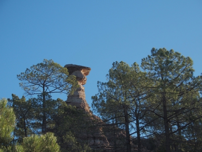 Corbeteras. Pajaroncillo