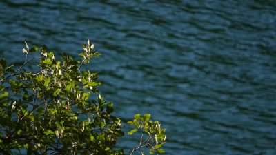 Embalse de Chincha. Puente de Vadillos