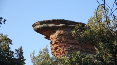 Miradores. Corbeteras. Pajaroncillo