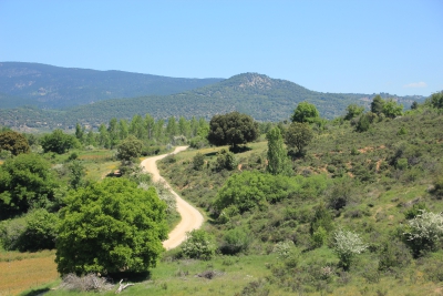 Valdemoro de la Sierra. La Balsa_